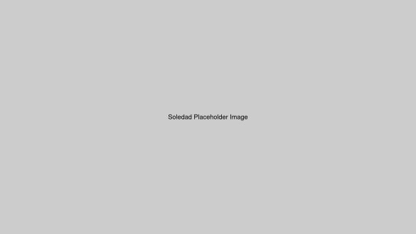 bullfinch